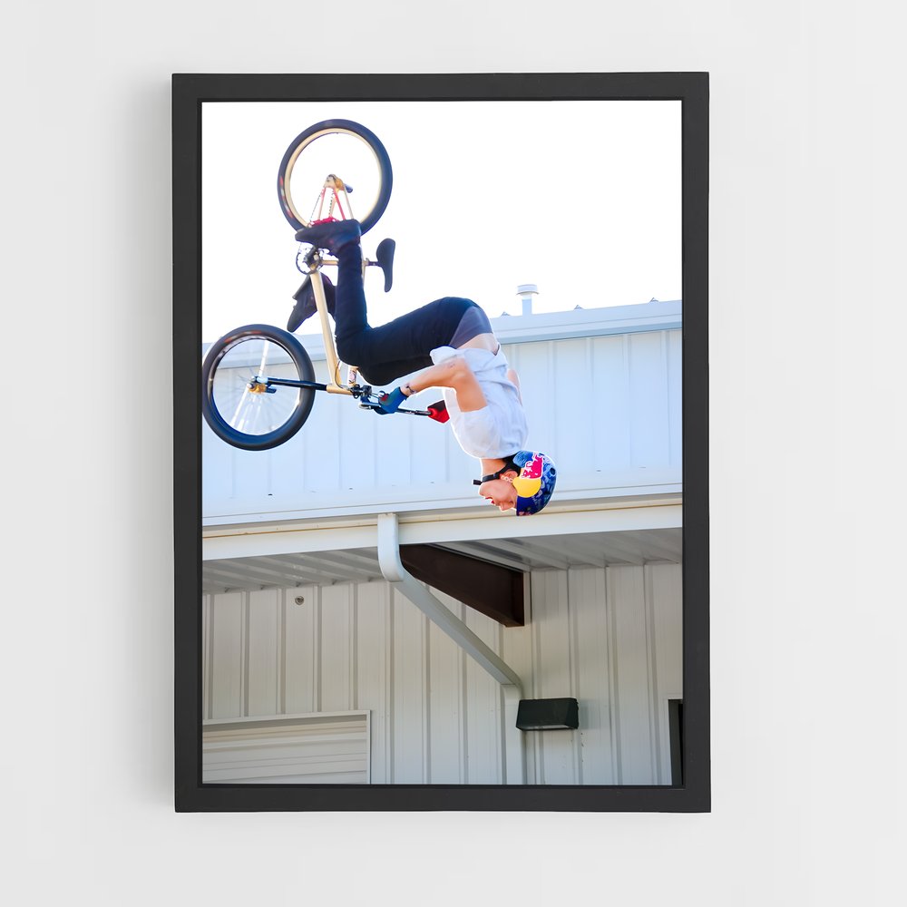 Poster Freestyle BMX (vue 2)